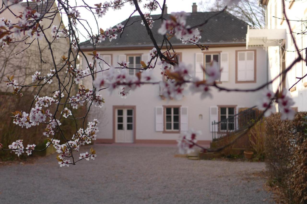 La Maison Carre Wolxheim المظهر الخارجي الصورة